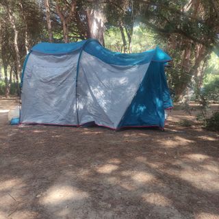 Tienda de campaña Quechua Arpenaz Family 4.1