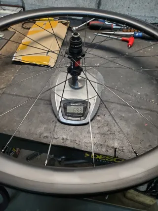 Ruedas carbono DT Swiss ZAPATA