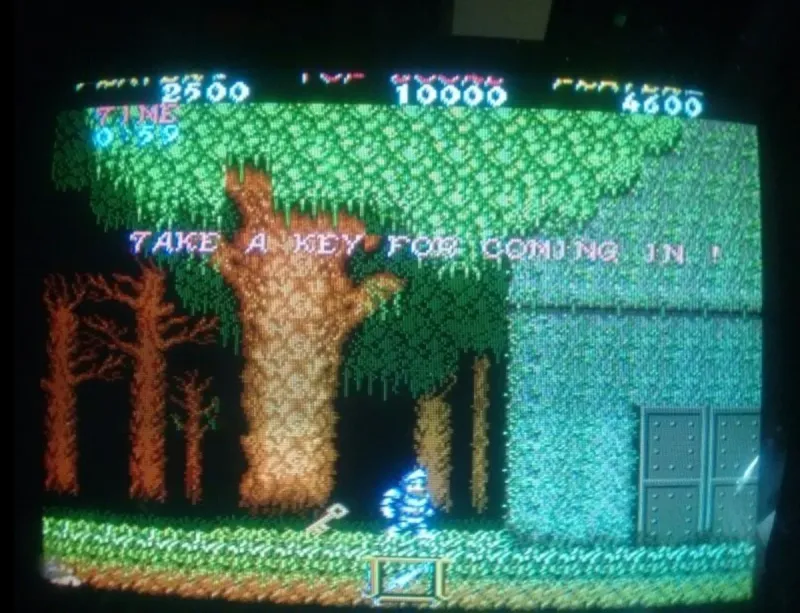 Placa Capcom Ghost & Goblins Original. afbeelding 4