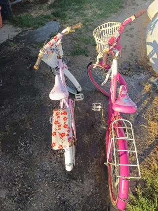 Bicicleta rosa con cesta