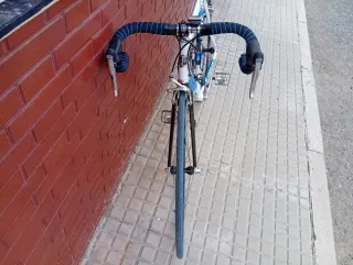 Bicicleta Zeus Carbono y Aluminio