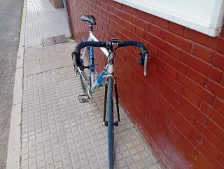 Bicicleta Zeus Carbono y Aluminio