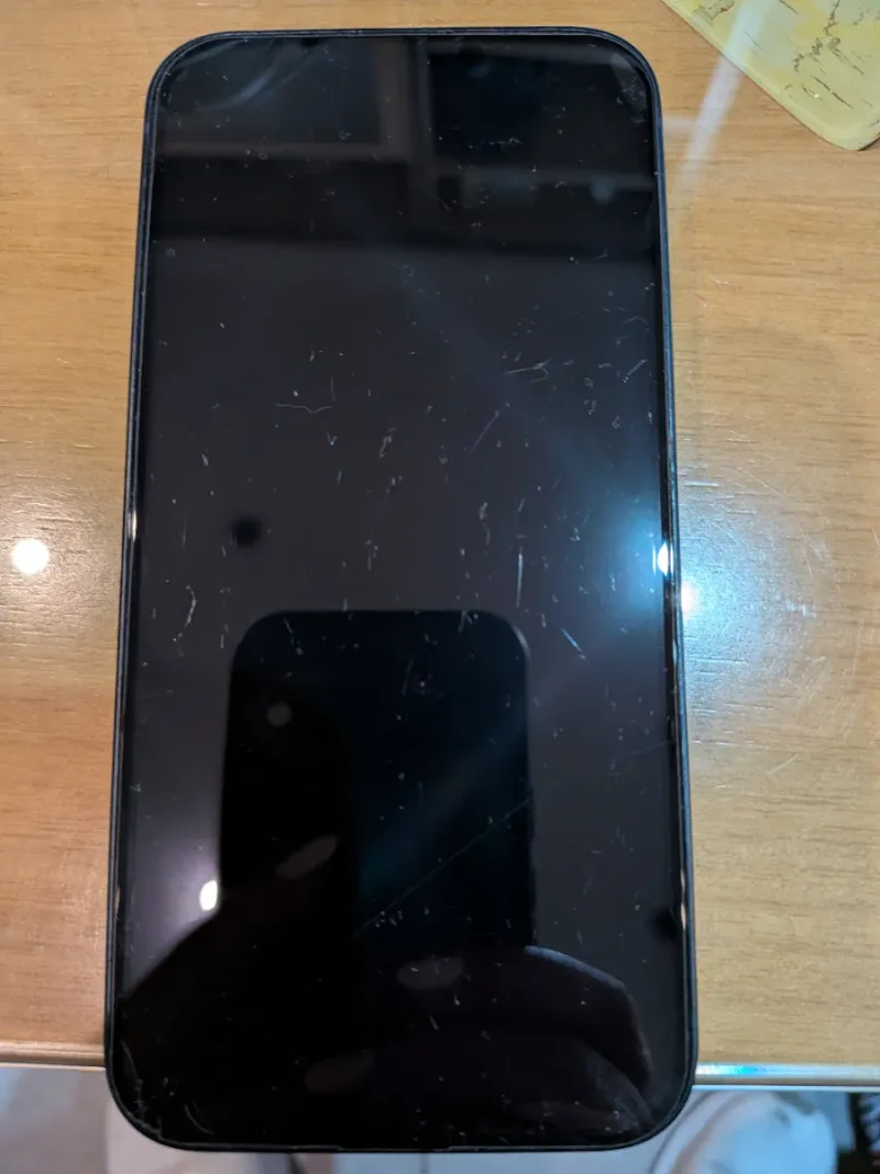 iPhone 13 Negro afbeelding 2