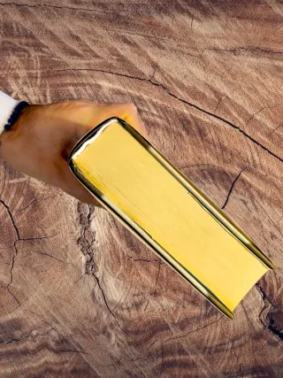 Harry Potter E Il Principe Mezzosangue MOTTO LATIN