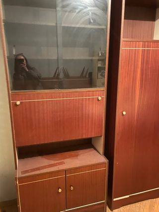 Mueble de salón con cama plegable