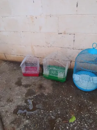 Jaulas para pájaros
