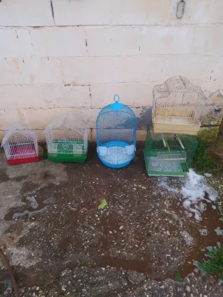 Jaulas para pájaros