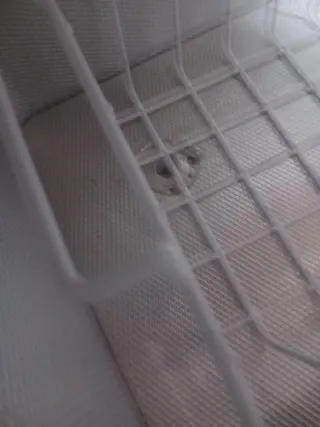 Congelatore Beko bianco