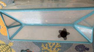 Bañera Stokke plegable