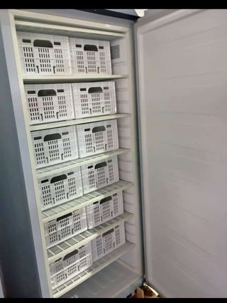 VITRINA EXPOSITORA REFRIGERADA