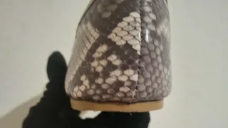 Bailarinas Marypaz Animal Print Talla 39