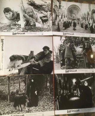 Lote 6 Fotocromos Lady Halcon Blanco y Negro