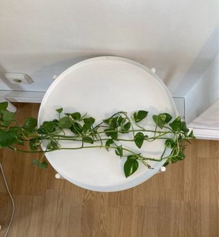 Mesa auxiliar redonda blanca Ikea Gladom