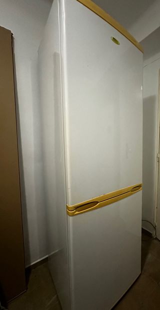 Frigorífico Domest Blanco con Detalles Amarillos