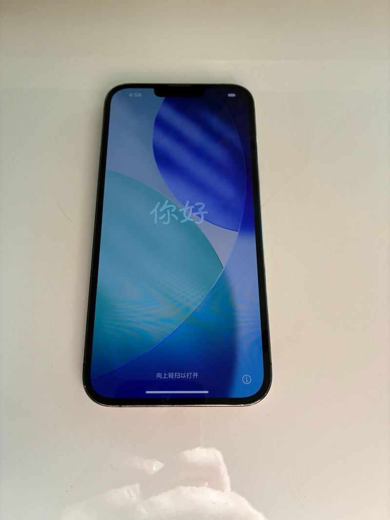 iPhone 13 Pro Max 512GB