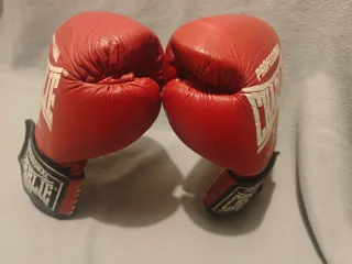 Guantes de Boxeo Charlie Profesionales 10 oz