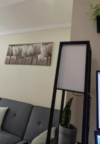 Cuadro Lienzo Horizontal Flores decorativos