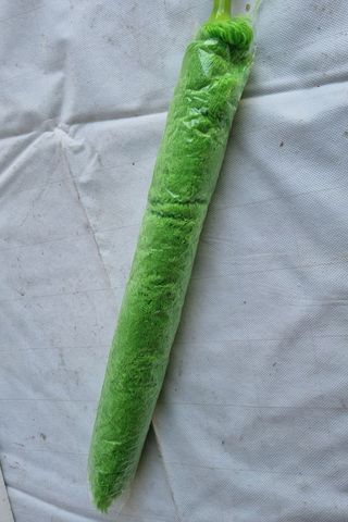 Spolverino Microfibra Telescopico Verde