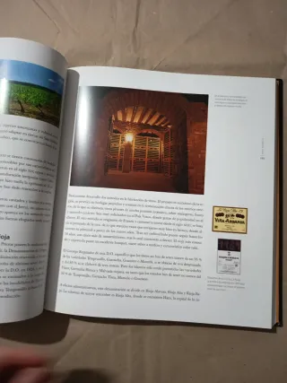 El arte de la cocina: Vinos de España y del mun...