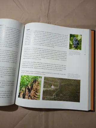 El arte de la cocina: Vinos de España y del mun...