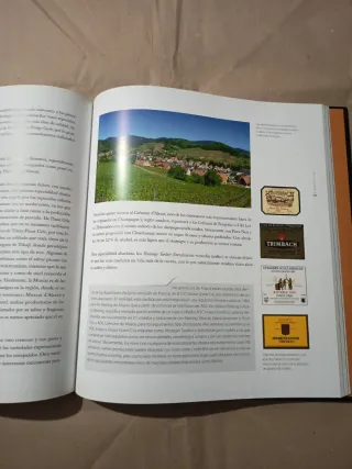 El arte de la cocina: Vinos de España y del mun...