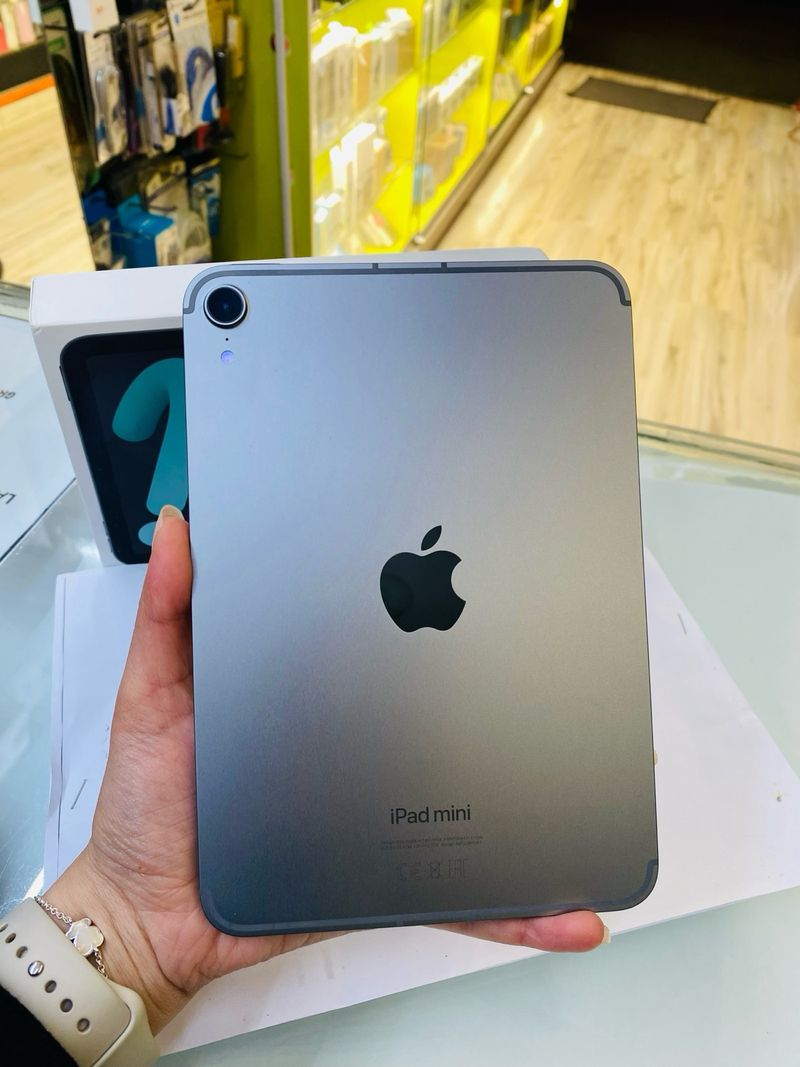 iPad mini WiFi + Cel 128GB Gris
