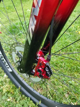 Bicicleta Cecotti Carbono MTB 29 Talla M