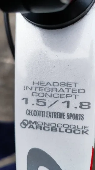 Bicicleta Cecotti Carbono MTB 29 Talla M