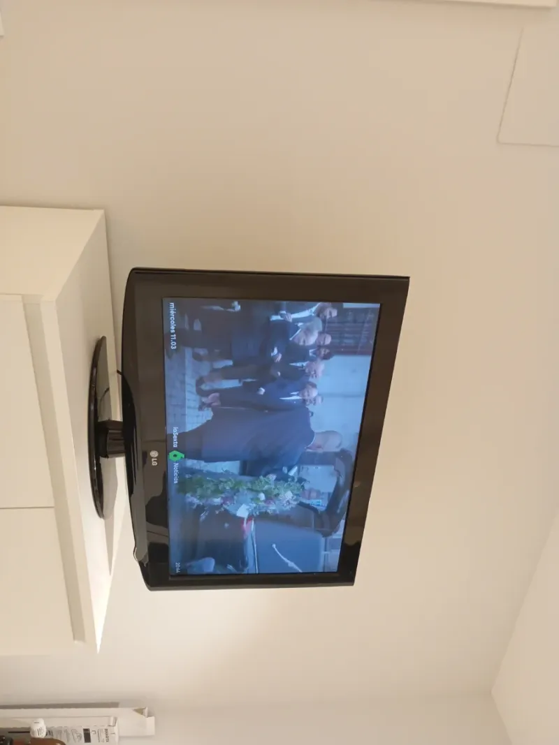 TV LG 32 Funcional (Sin Mando)