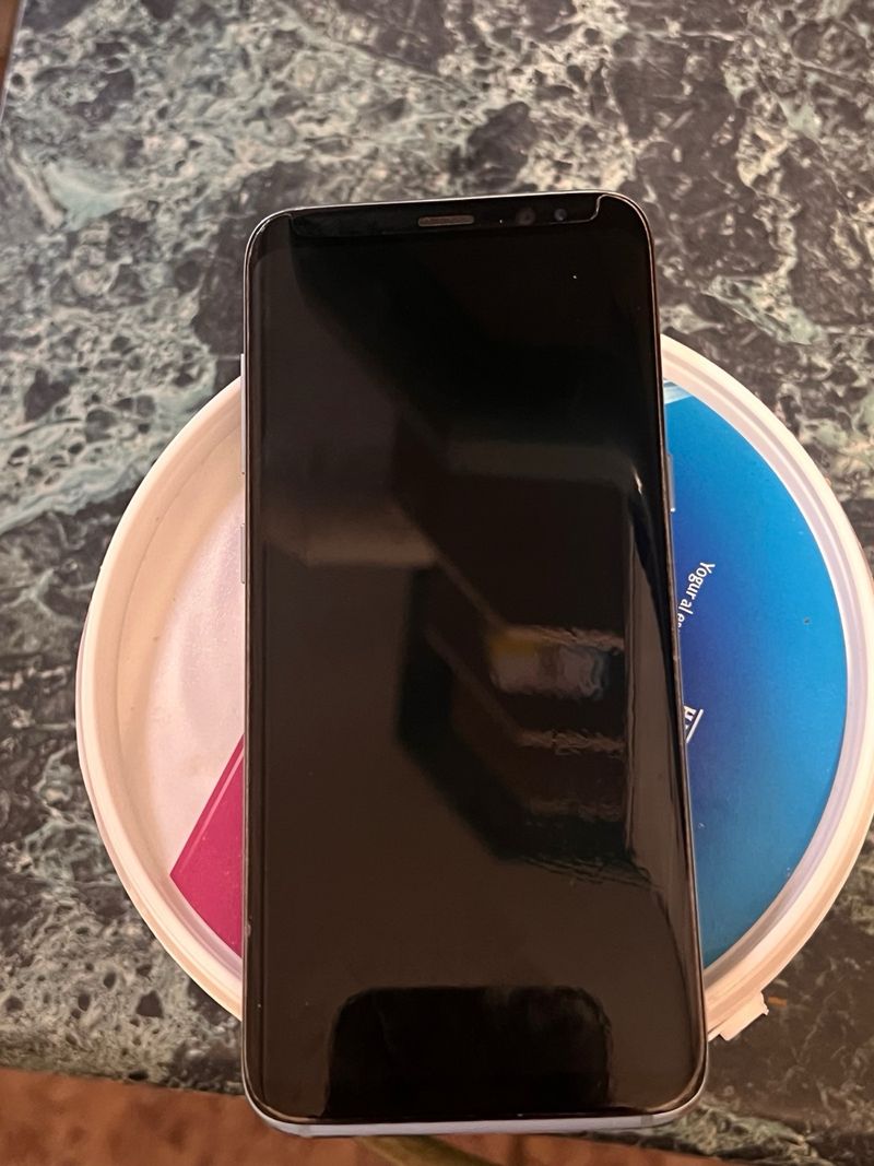 Samsung Galaxy S8 Negro afbeelding 4