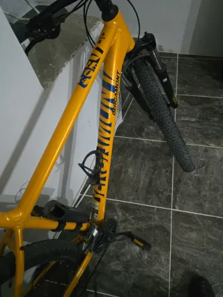 Bicicleta Montaña Amarilla bergamont REVO