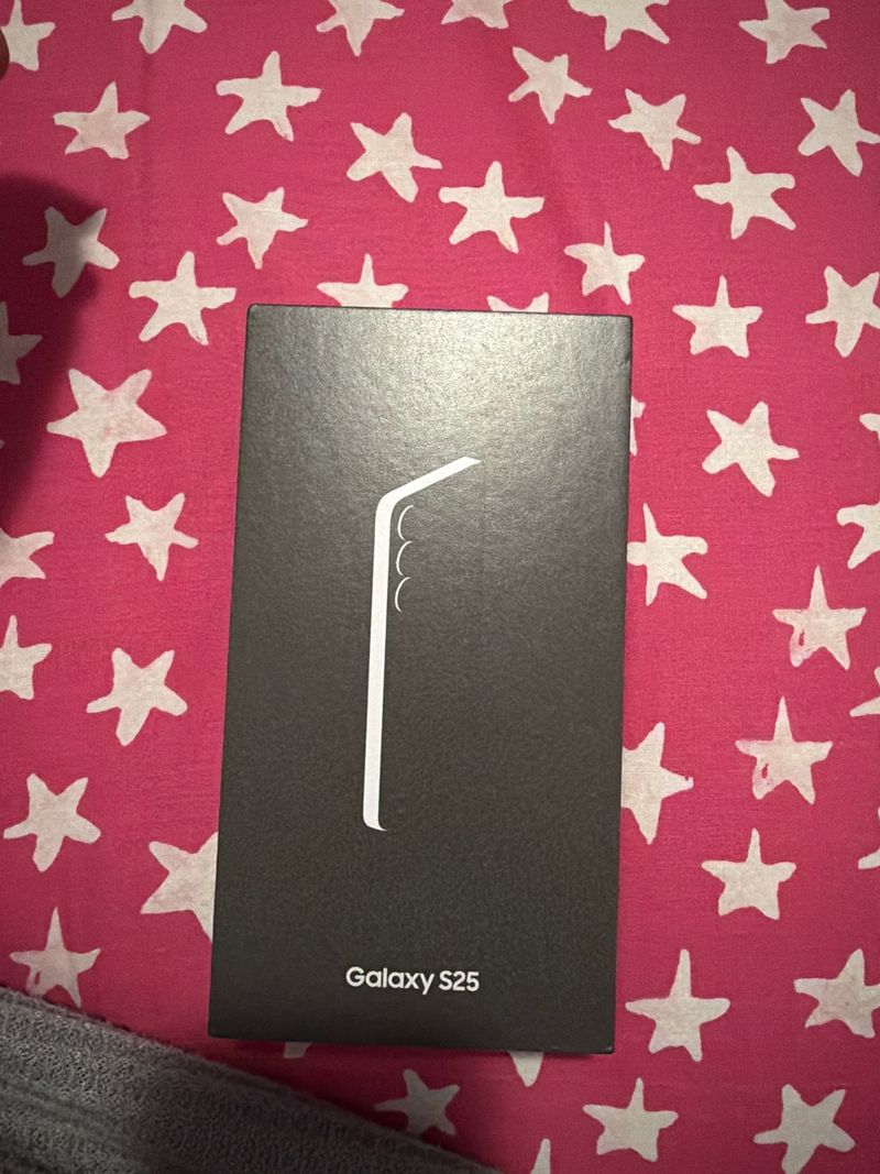 Samsung Galaxy S25
