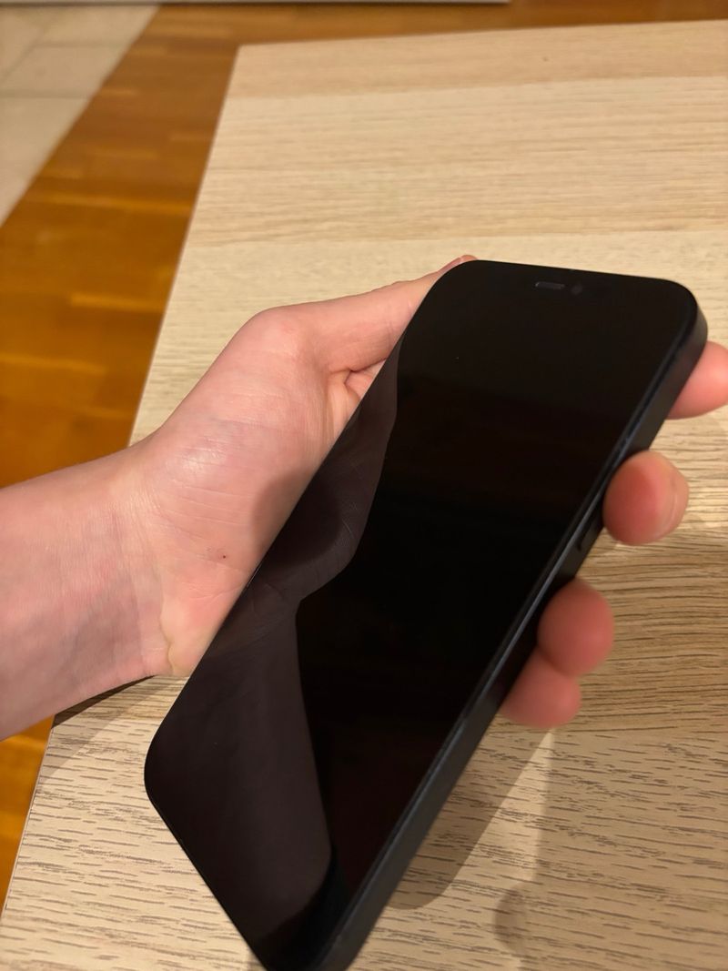 iPhone 12 128GB Negro