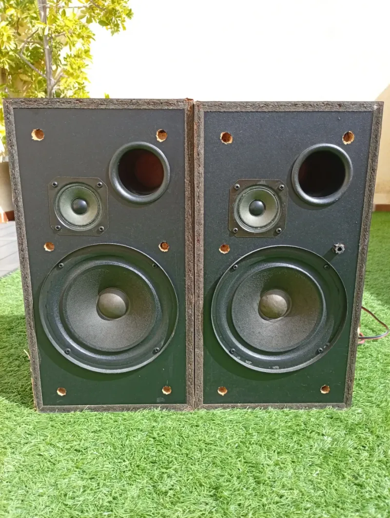 Altavoces Sony SS A290 Negros