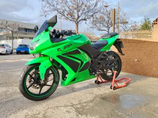 Kawasaki Ninja 250 Como Nueva!
