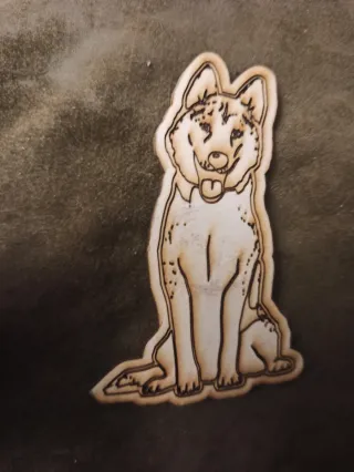 Calamite cane in legno