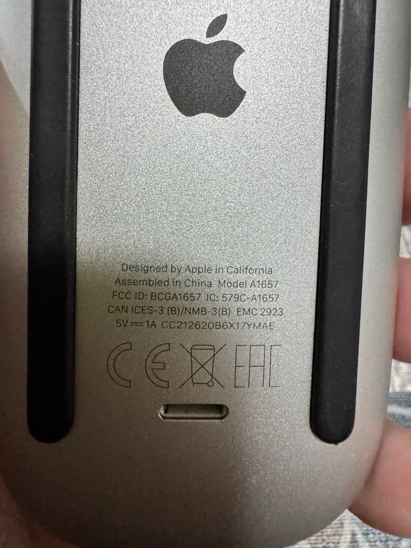 Apple Magic Mouse + Cable Carga afbeelding 3