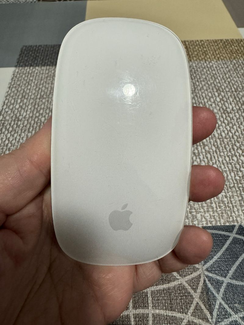 Apple Magic Mouse + Cable Carga