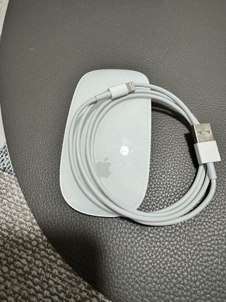 Apple Magic Mouse + Cable Carga