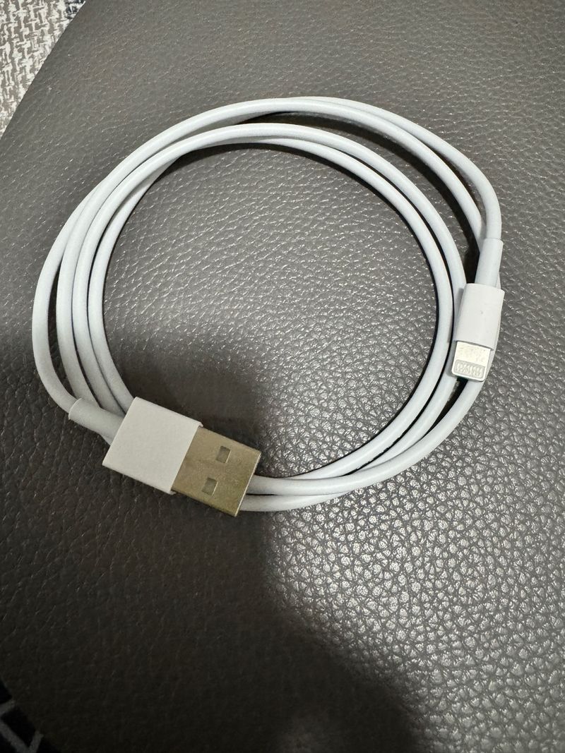 Apple Magic Mouse + Cable Carga afbeelding 7