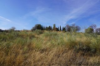 Parcela en Moraleda de Zafayona