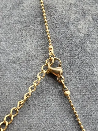 Colgante Leo Acero Quirúrgico Baño Oro