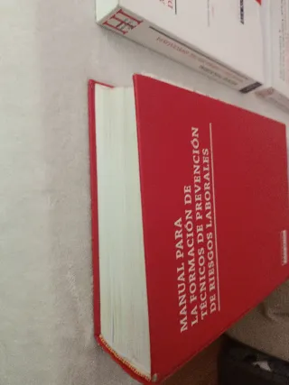 ERGONOMÍA Y PSICOSOCIOLOGÍA APLICADA. MANUAL PA...