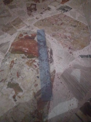 Shorts di jeans strappati