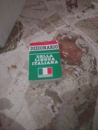 Shorts di jeans strappati