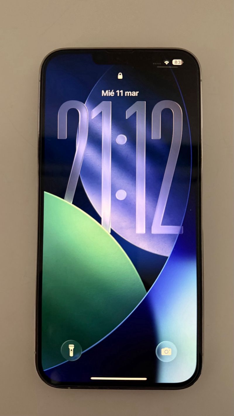 iPhone 13 Pro Max 1TB Plata afbeelding 3