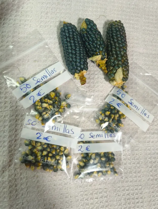 Maíz enano semillas gris oscuro/negro