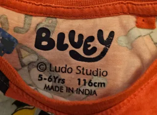 Camiseta manga corta niño Bluey talla 5-6 116cm