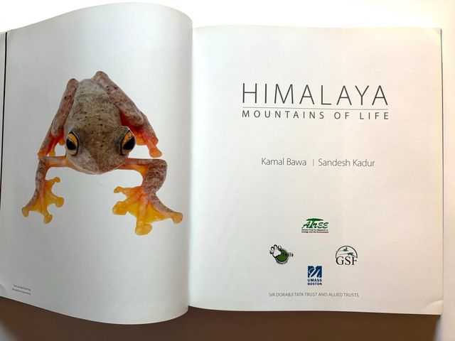 HIMALAYA mountains of life. KAMAL BAWA y Kadur