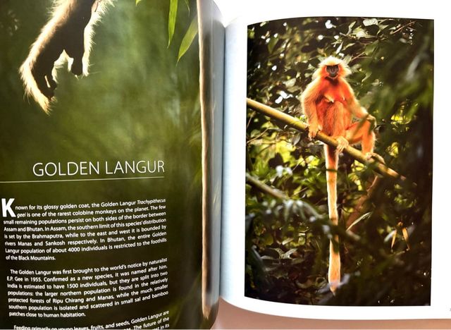 HIMALAYA mountains of life. KAMAL BAWA y Kadur